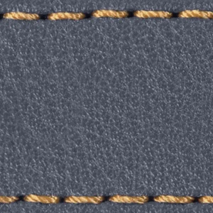 Gurt C1 22mm | Stahlgrau / Gold Thread | Lederteile ohne Schnalle