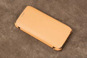 Leather case