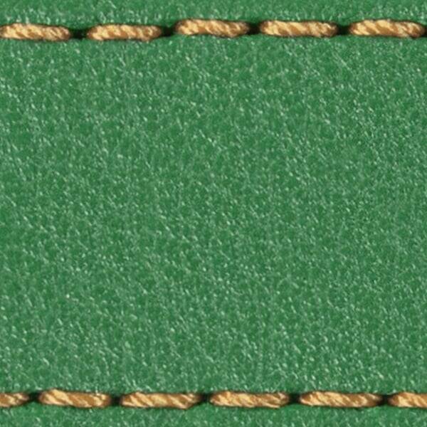 Strap C1 22mm | Green / Gold thread | Leather parts without buckle