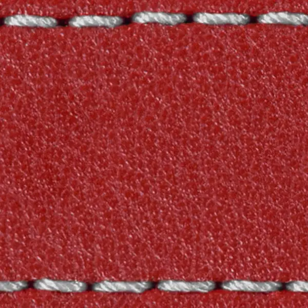 Gurt C1 20mm | Rot / Silber Thread | Lederteile ohne Schnalle