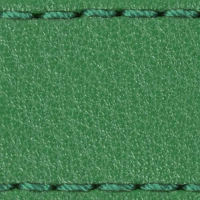 Ciemnozielony || Zielony / Ciemnozielony