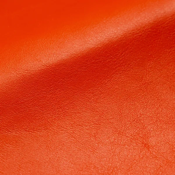 Gurt S1 19mm | Orange | Lederteile ohne Schnalle
