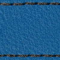 Czarny || Niebieski / Czarny || Srebrny