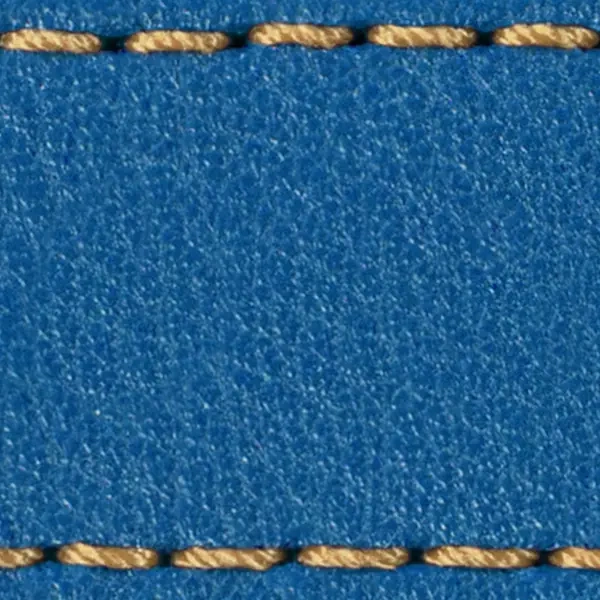 Strap C1 22mm | Blue / Gold thread | Leather parts without buckle