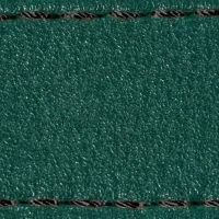 Czarny || Zielony butelkowy / Czarny