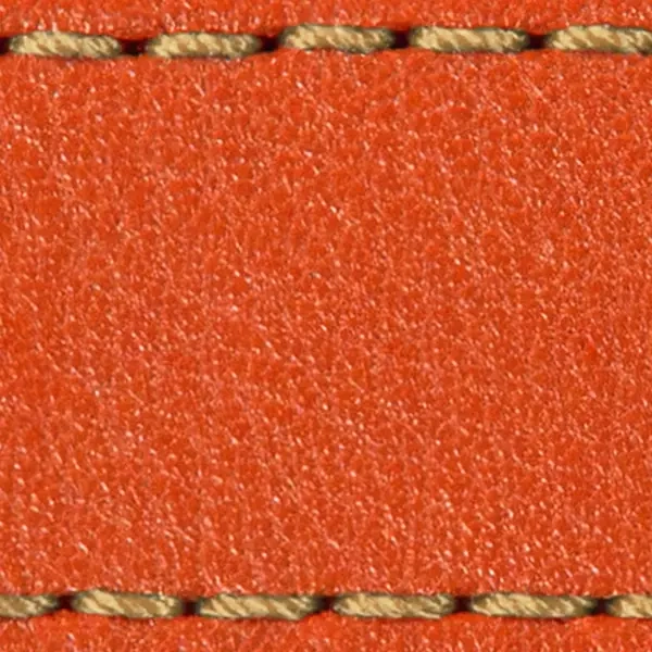 Strap C1 26mm | Orange / Gold thread | Leather parts without buckle