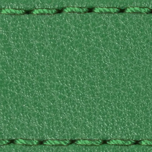 Gurt C1 22mm | Grün / Grün Thread | Lederteile ohne Schnalle