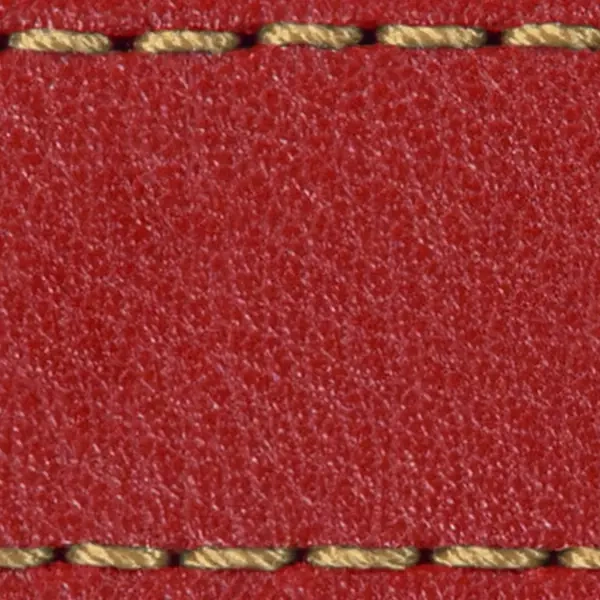 Strap C1 24mm | Scarlet red / Gold thread | Leather parts without buckle