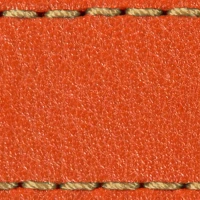 Złoty || Pomarańczowy / Złoty